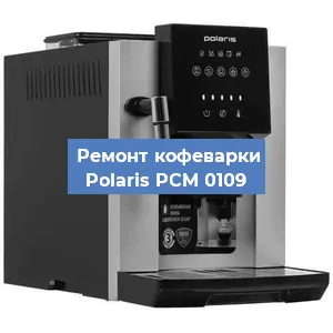 Замена прокладок на кофемашине Polaris PCM 0109 в Нижнем Новгороде